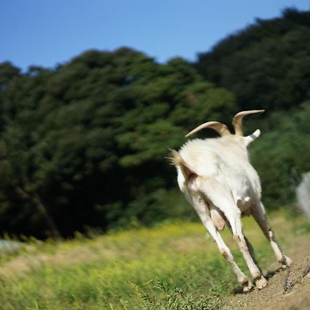 舞鶴ふるるファームコテージ Maizuru Exterior photo