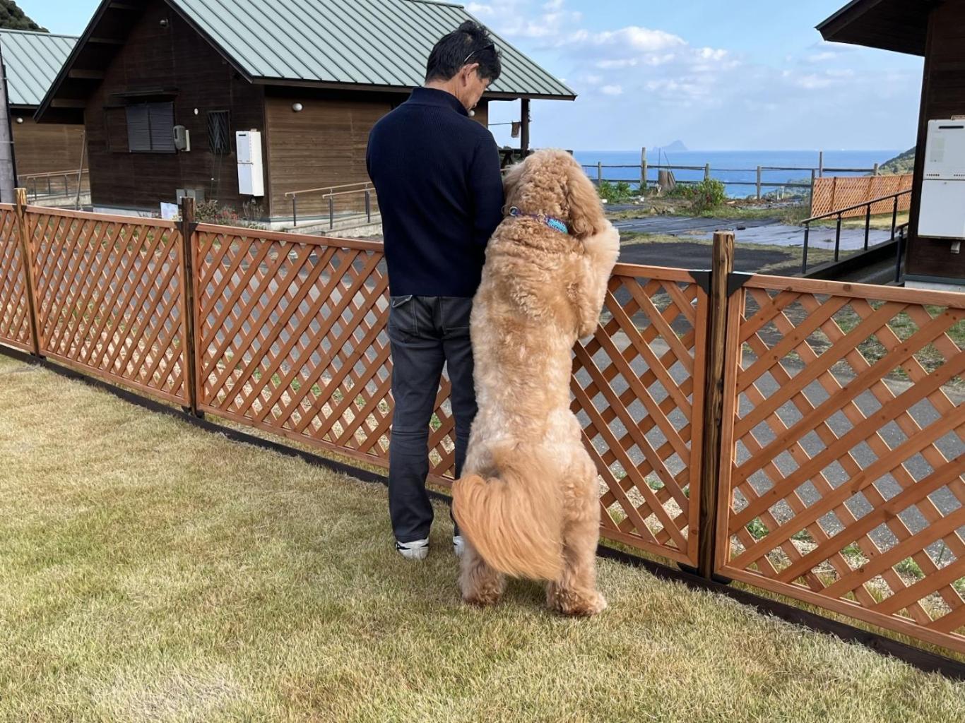 舞鶴ふるるファームコテージ Maizuru Exterior photo